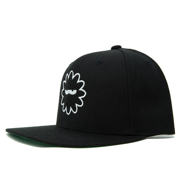 Crooked Snap-Back